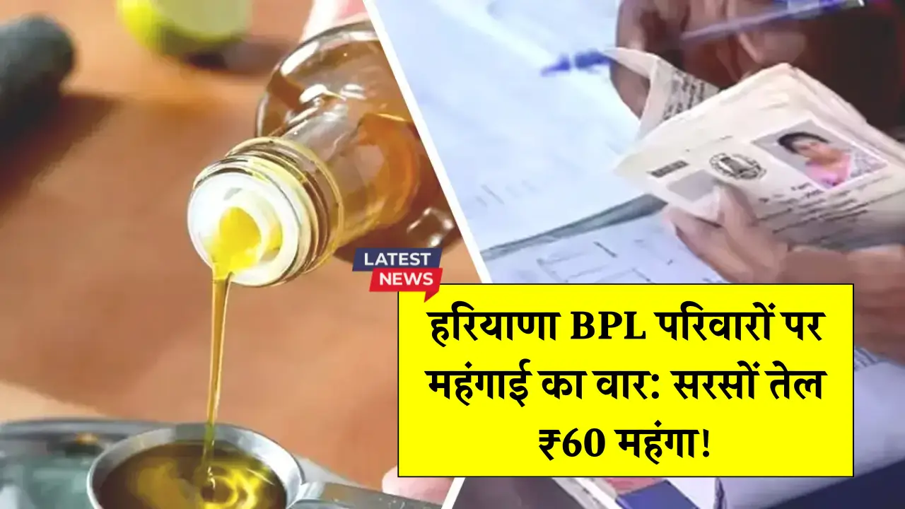 Haryana Mustard Oil Price