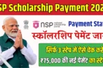 NSP Scholarship Payment 2025