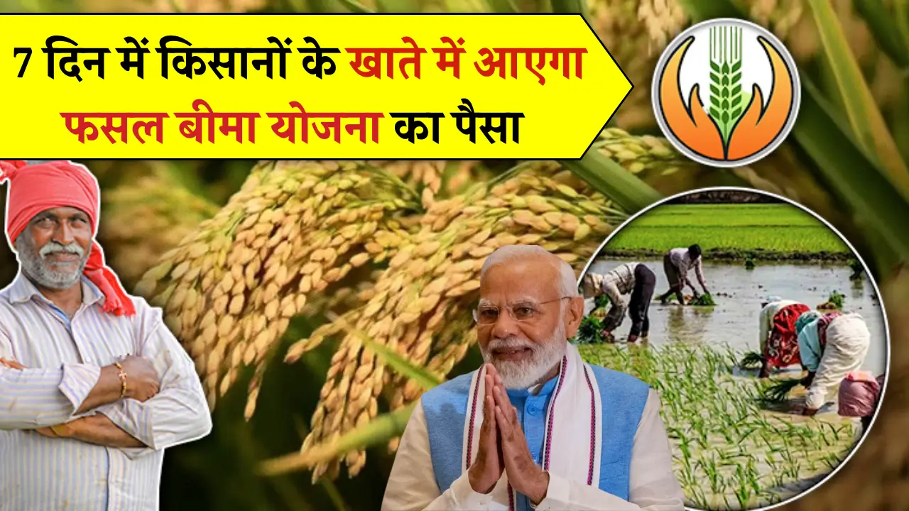 PM Fasal Bima Yojana